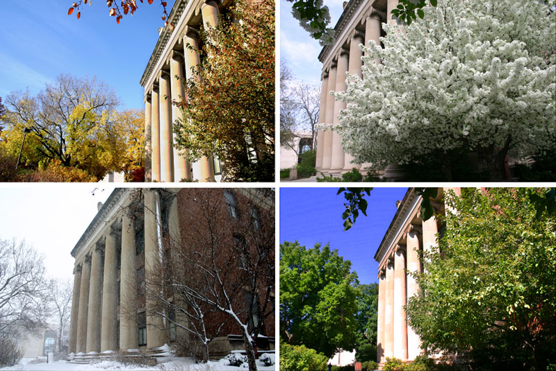 Four seasons