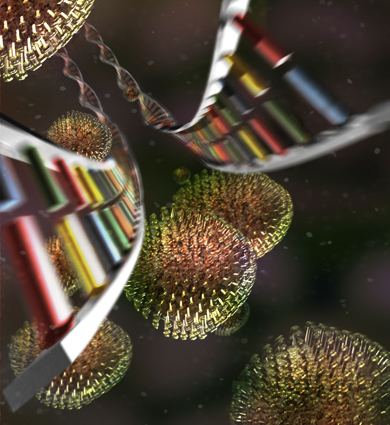 image from Fast DNA