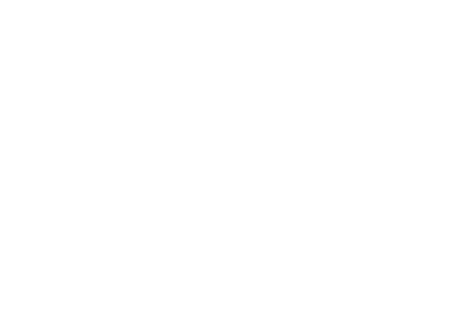white watermark logo